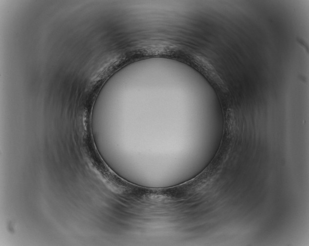 X0000099320590200805161402