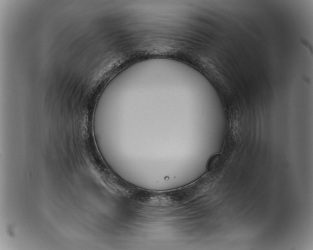 X0000099320591200805161402