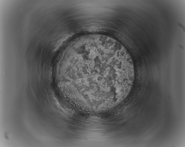 X0000099320592200805161402