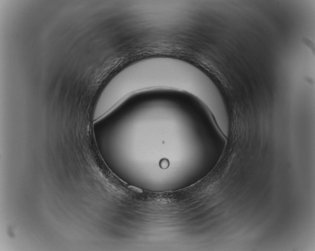 X0000099320593200805161402