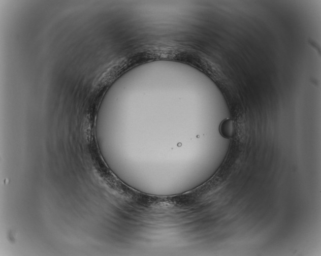 X0000099320594200805161402