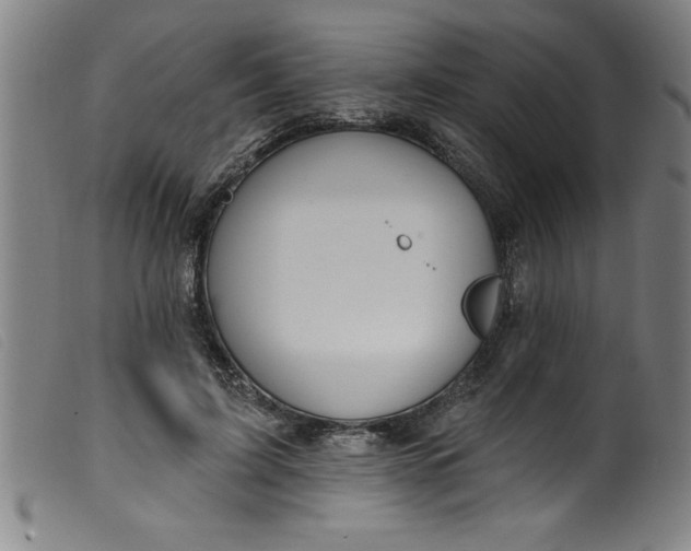 X0000099320595200805161402