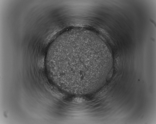 X0000099320596200805161402