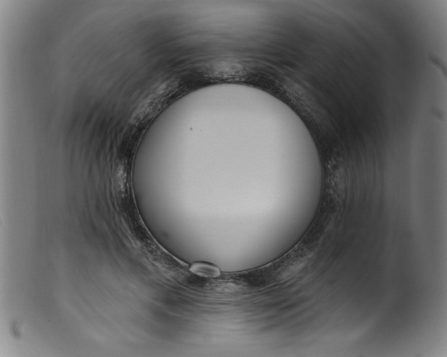 X0000099320597200805161402