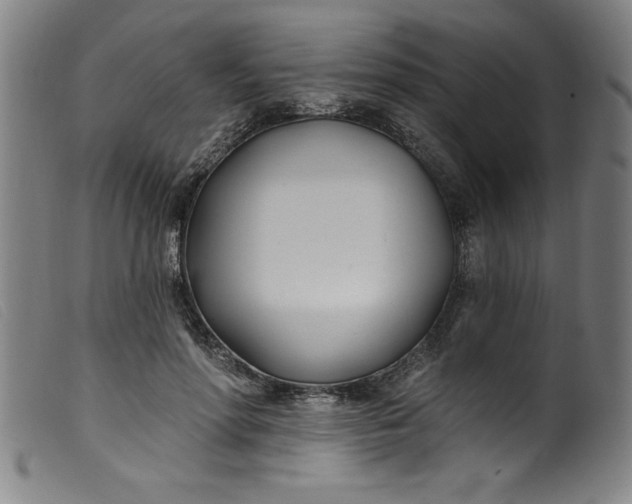 X0000099320598200805161402