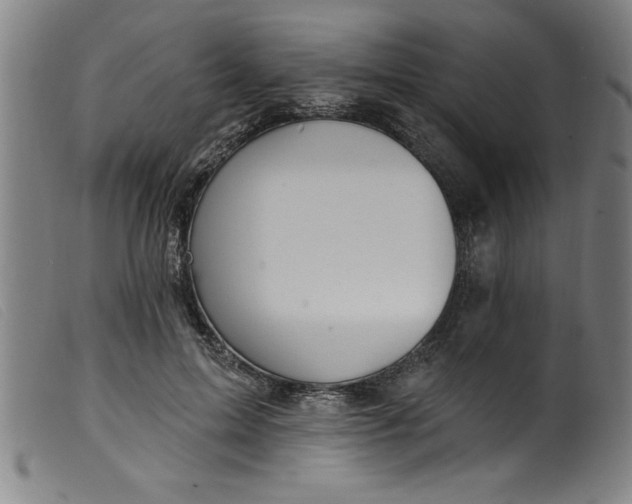 X0000099320599200805161402