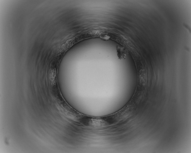 X0000099320605200805161402