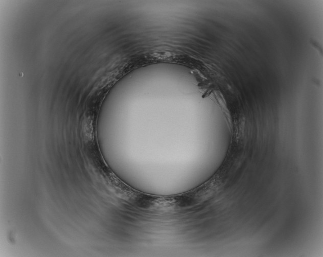 X0000099320606200805161402