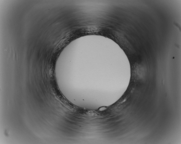 X0000099320608200805161402