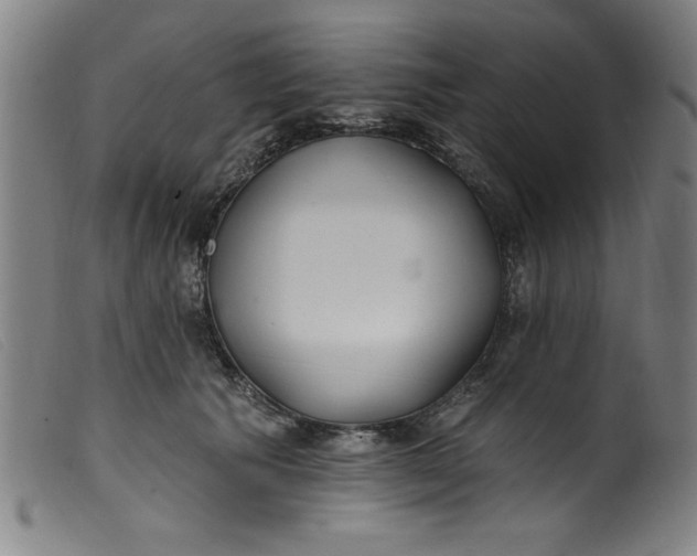 X0000099320609200805161402