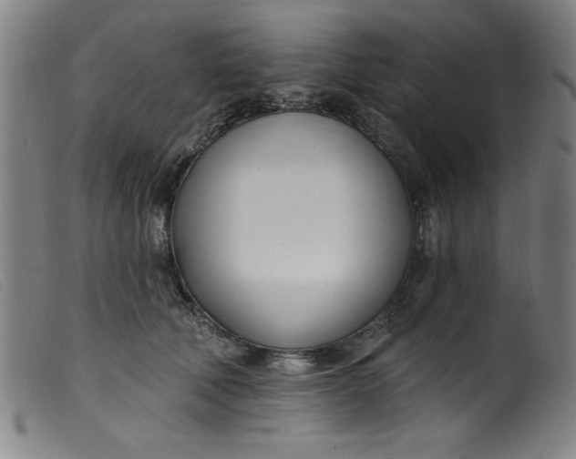 X0000099320610200805161402