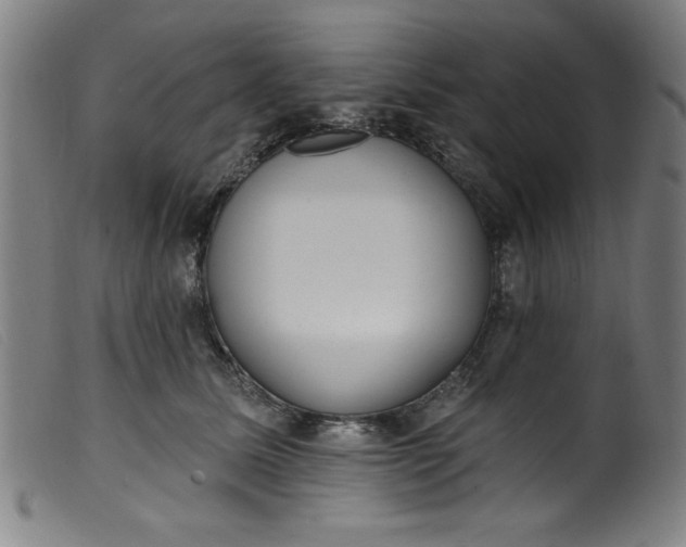 X0000099320611200805161402