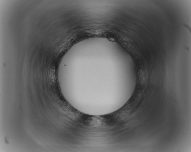 X0000099320612200805161402