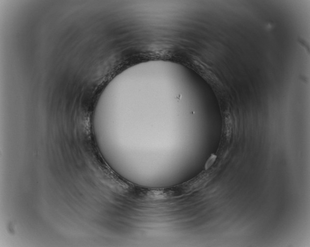 X0000099320613200805161402