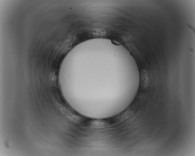 X0000099320614200805161402