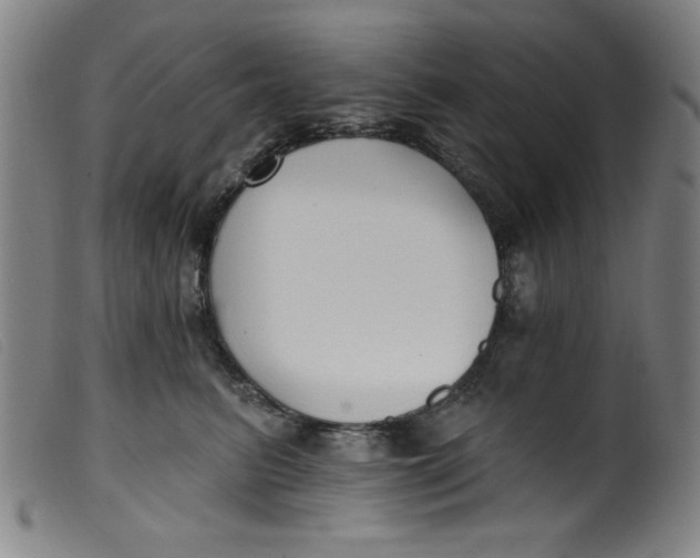 X0000099320615200805161402