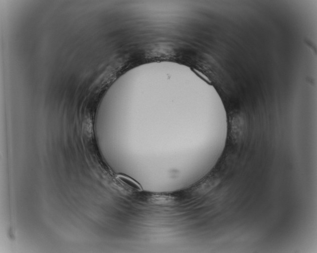 X0000099320617200805161402