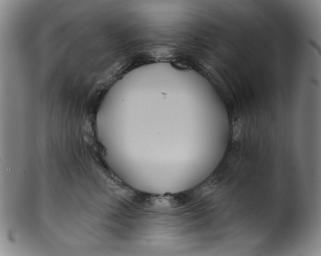 X0000099320618200805161402