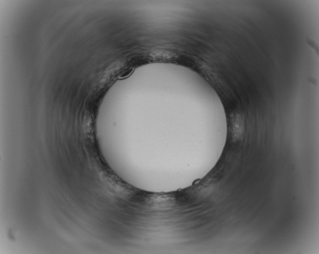 X0000099320619200805161402