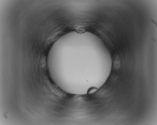 X0000099320620200805161402