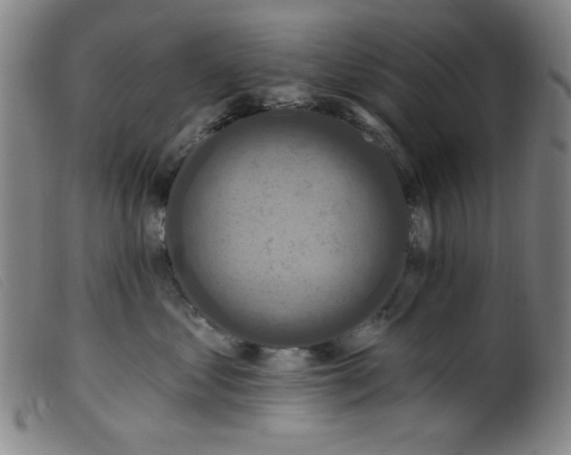 X0000099320621200805161402