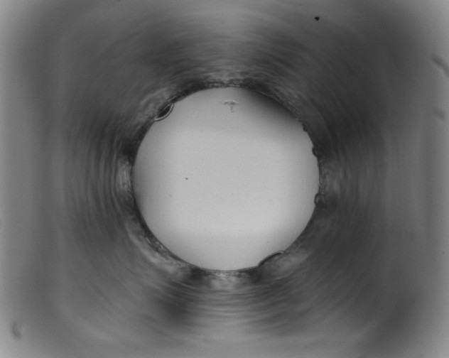 X0000099320623200805161402