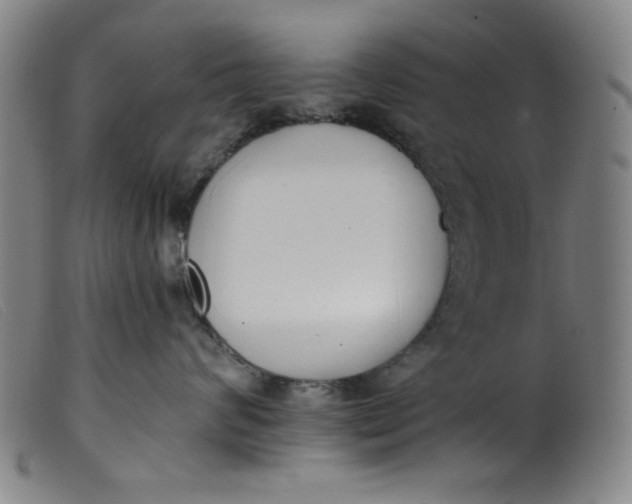 X0000099320624200805161402