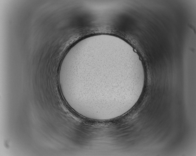 X0000099320625200805161401