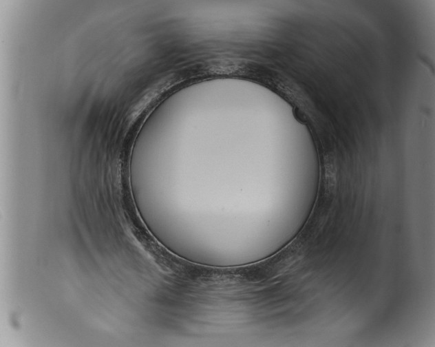 X0000099320626200805161401