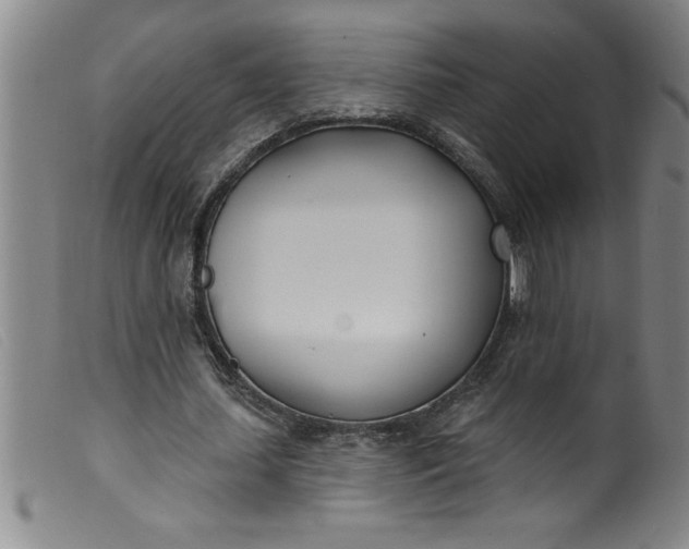 X0000099320627200805161401