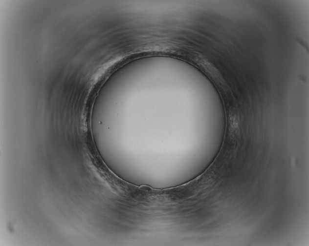 X0000099320628200805161401