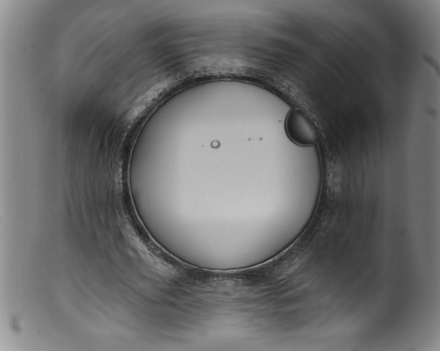 X0000099320629200805161401