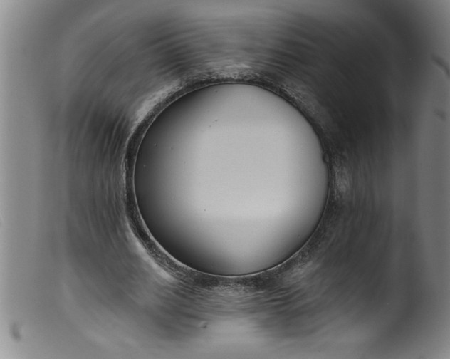 X0000099320630200805161401