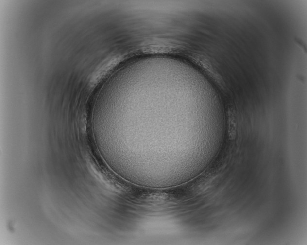 X0000099320631200805161401