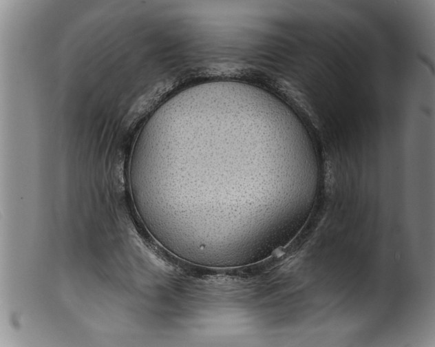 X0000099320633200805161401