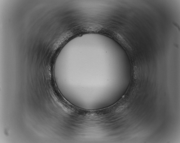 X0000099320634200805161401