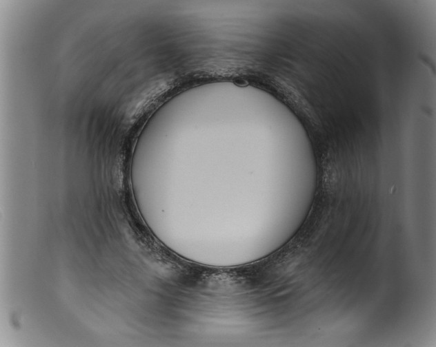 X0000099320635200805161401