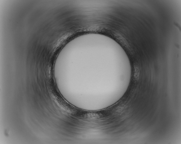 X0000099320636200805161401