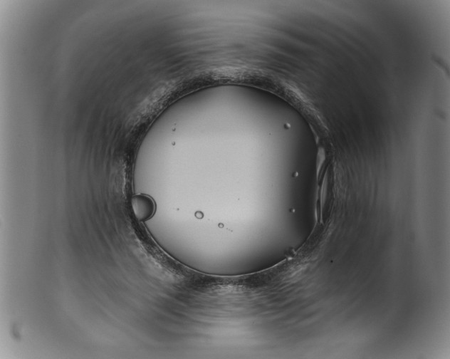 X0000099320637200805161401