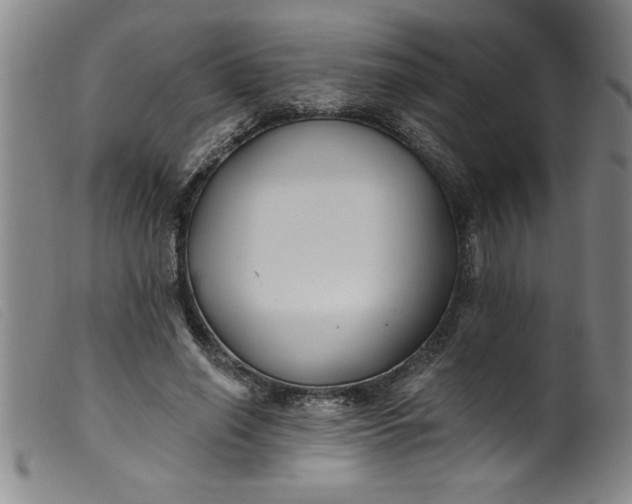 X0000099320638200805161401