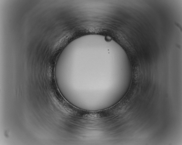 X0000099320639200805161401