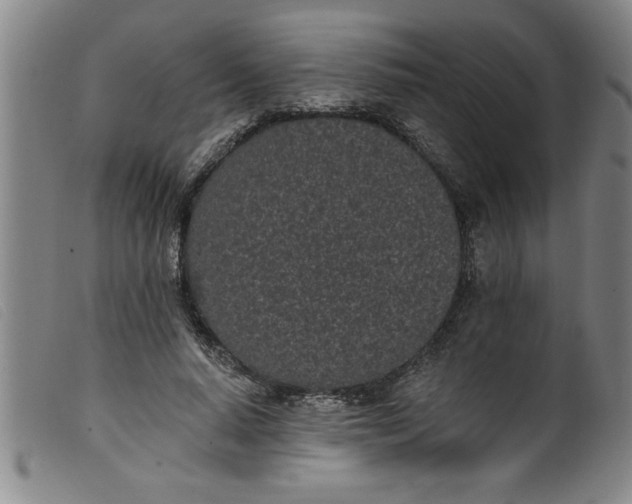 X0000099320640200805161401