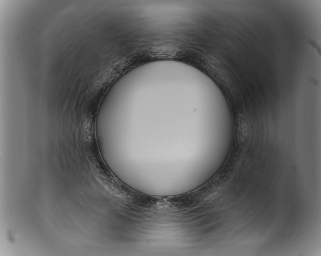 X0000099320641200805161401