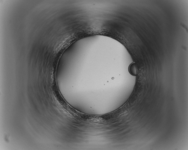 X0000099320642200805161401