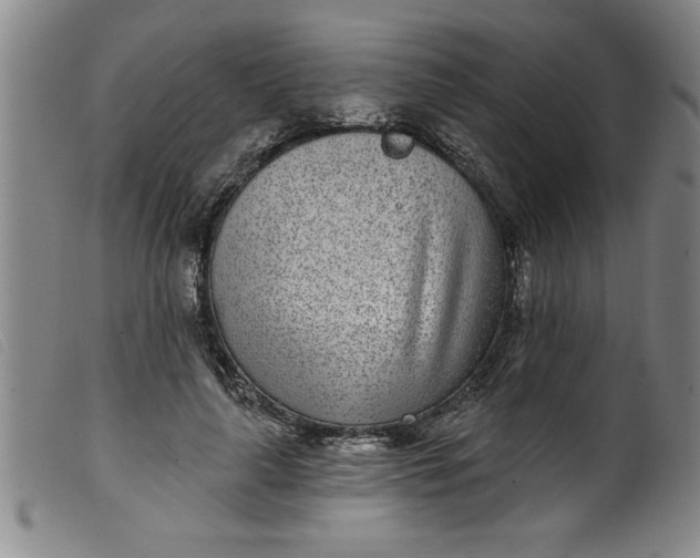 X0000099320643200805161401