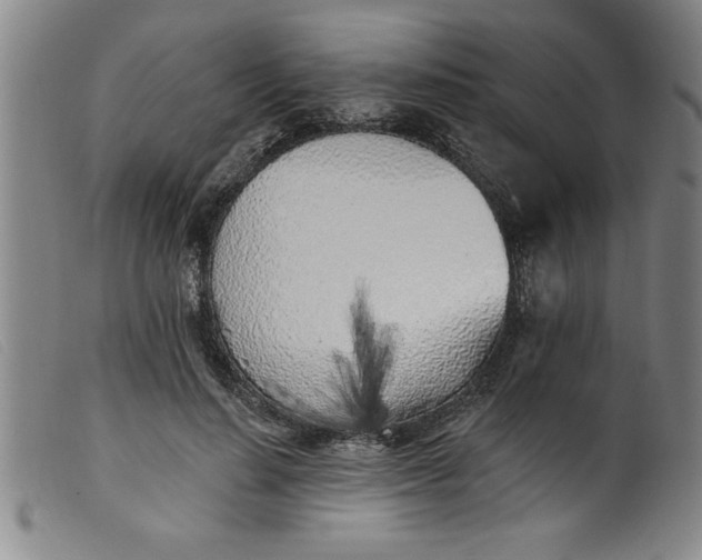 X0000099320644200805161401