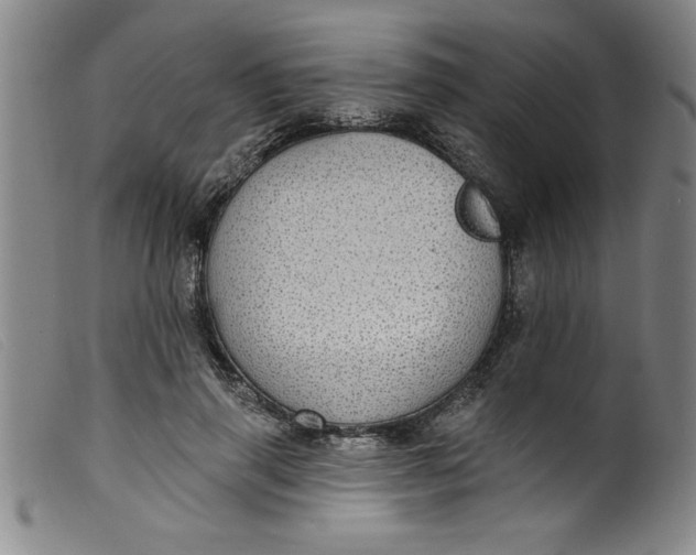 X0000099320645200805161401