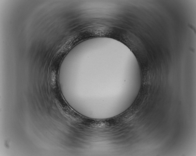 X0000099320646200805161401