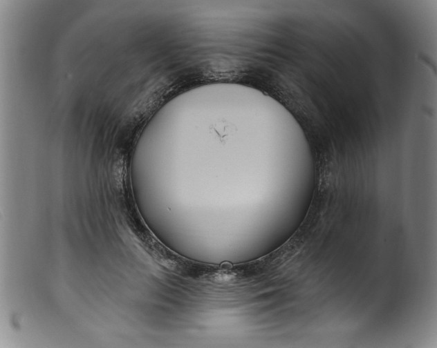 X0000099320647200805161401