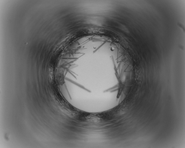 X0000099320648200805161402